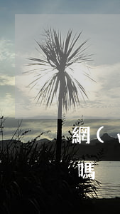網(wǎng)貸逾期期超過3年會被起訴嗎？-網(wǎng)貸逾期期超過3年會被起訴嗎知乎